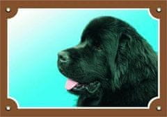 DAFIKO Barevná cedulka pozor pes, novofundlanský pes černý