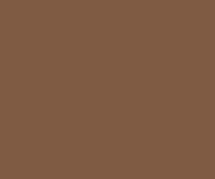 DERWENT Coloursoft pastelky c630 brown earth, derwent, umělecké