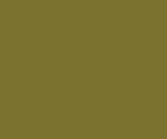 DERWENT Coloursoft pastelky c500 lichen green, derwent, umělecké