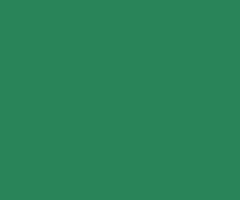 DERWENT Coloursoft pastelky c400 mid green, derwent, umělecké