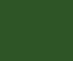 DERWENT Procolour 46 sap green, derwent, umělecké pastelky