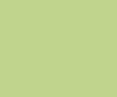 DERWENT Coloursoft pastelky c460 lime green, derwent, umělecké
