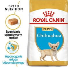 Royal Canin Adult Chihuahua 1,5 kg granule pro psy plemene čivava starší 8 měsíců