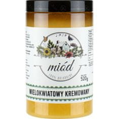 Ami Honey Med přírodní květový pastový Zednice 520 g