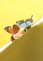 KN Záložka do knihy - motýli