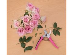 Extol Lady Zahradnické nůžky (9272) na květiny, 180mm