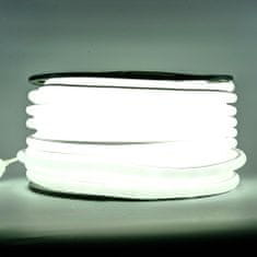 DecoLED D-TYP jednostranný LED Neon, ledově bílá, IP67, 1 m