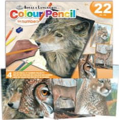 Royal & Langnickel ROYAL & LANGNICKEL Sada malování podle čísel pastelkami: Divoká zvířata