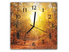 Glasdekor Nástěnné hodiny 30x30cm podzimní les a západ slunce - Materiál: plexi