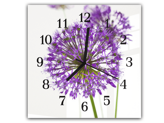 Glasdekor Nástěnné hodiny 30x30cm fialový květ allium na bílém pozadí
