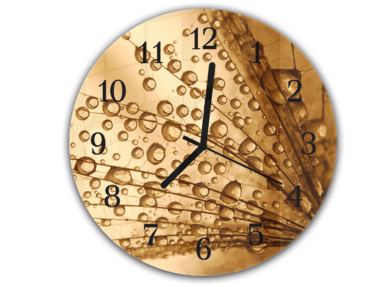 Glasdekor Nástěnné hodiny kulaté pr.30cm semena pampelišky s rosou na hnědém