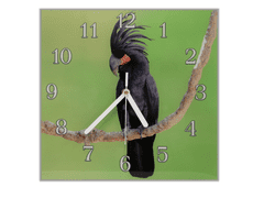 Glasdekor Nástěnné hodiny 30x30cm papoušek kakadu palmový - Materiál: kalené sklo