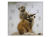 Nástěnné hodiny 30x30cm dvě surikaty na kameni - Materiál: kalené sklo