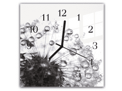 Glasdekor Nástěnné hodiny 30x30cm odkvetla pampeliška černo bílá s rosou - Materiál: kalené sklo
