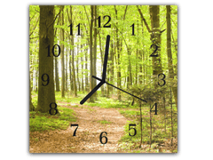 Glasdekor Nástěnné hodiny 30x30cm listnatý les s cestou - Materiál: kalené sklo