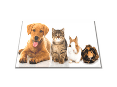 Glasdekor Skleněné prkénko domácí zvířata - Prkénko: 30x20cm