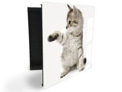 Glasdekor skříňka na klíče - roztomilé koťátko - Otevírání: Levé, Barva skříňky: Černá