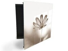 Glasdekor skříňka na klíče - abstraktní květ v sépiové - Otevírání: Pravé, Barva skříňky: Černá