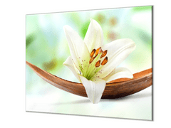 Glasdekor Ochranná deska bílý květ lilie - Ochranná deska: 50x50cm, Lepení na zeď: S lepením na zeď