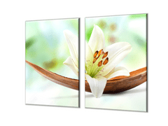Glasdekor Ochranná deska bílý květ lilie - Ochranná deska: 50x50cm, Lepení na zeď: S lepením na zeď