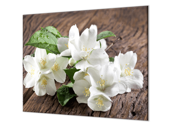 Glasdekor Ochranná deska bílé květy jasmínu