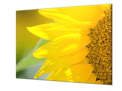 Glasdekor Krájecí podložka detail květ slunečnice - Ochranná deska: 55x90cm, Lepení na zeď: S lepením na zeď