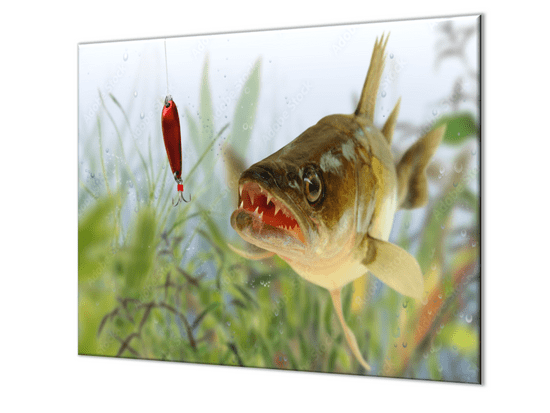 Glasdekor Ochranná deska candát ryba