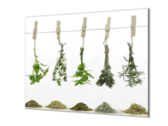 Glasdekor Ochranná deska bylinky visící na šňůře - Ochranná deska: 65x90cm, Lepení na zeď: Bez lepení na zeď