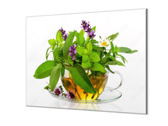 Glasdekor Ochranná deska bylinky v hrníčku čaje - Ochranná deska: 50x50cm, Lepení na zeď: S lepením na zeď