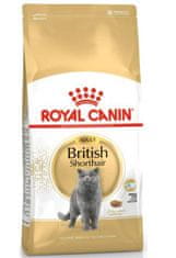 Royal Canin British Shorthair Adult 10 kg granule pro dospělé krátkosrsté kočky 10 kg