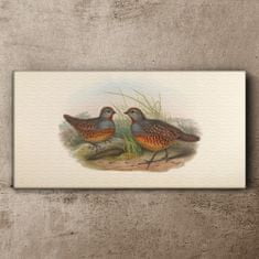 COLORAY.CZ Obraz na plátně Ptáci zvířata kreslení 120x60 cm