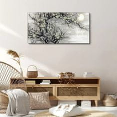 COLORAY.CZ Obraz na plátně Větve stromů květiny slunce 100x50 cm