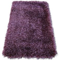 Dywany Lusczów Kusový koberec LOVE SHAGGY fialový, velikost 200x290