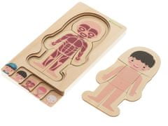 Aga Dřevěné puzzle Montessori části těla Chlapec