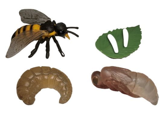 Animal Life figurky životní cyklus Včela