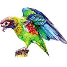 IZMAEL Dřevěné puzzle-Macaw/L KP22011