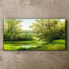 COLORAY.CZ Obraz na plátně Stromy řeka příroda 100x50 cm