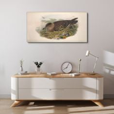 COLORAY.CZ Obraz na plátně Ptáci béžová zvířata 100x50 cm