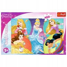 Trefl Puzzle Disney Princes Meet the Princesses 100