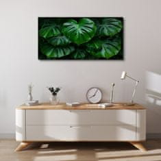 COLORAY.CZ Obraz na plátně Moderní listy rostlin 100x50 cm
