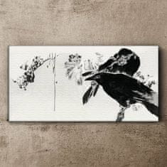 COLORAY.CZ Obraz na plátně Zvířata ptáci 100x50 cm