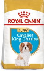 Royal Canin SHN Breed Cavalier King Charles Adult 1,5 kg