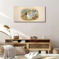 COLORAY.CZ Obraz na plátně Zvířata ptáků 100x50 cm