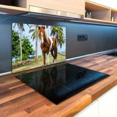 Wallmuralia Kuchyňská deska skleněná Strakatý kůň 2x40x52 cm
