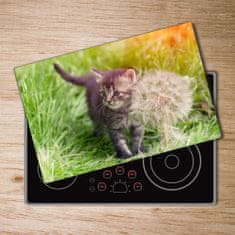 Wallmuralia Kuchyňská deska skleněná Kočka a pampeliška 80x52 cm