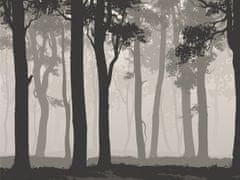 AG Design Tajemný les, vliesová fototapeta, 360x270 cm