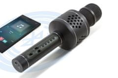 Technaxx PRO bluetooth karaoke mikrofon, 2x3W repro, LED RGB a funkcí TWS, černá (BT-X35)