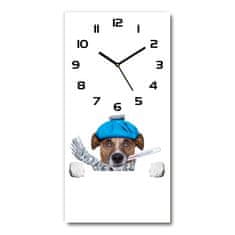 Wallmuralia Moderní hodiny nástěnné Nemocný pes bílé 30x60 cm