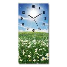 Wallmuralia Moderní hodiny nástěnné Louka bílé 30x60 cm