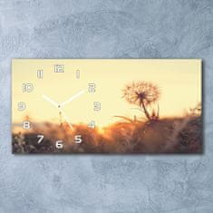 Wallmuralia Moderní skleněné hodiny na stěnu Pampeliška bílé 60x30 cm
